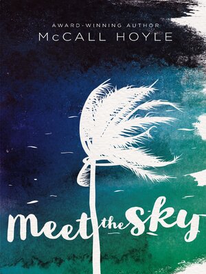 cover image of Meet the Sky